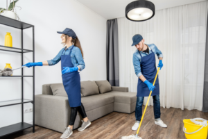 Carpet Cleaning Services